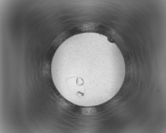 X0000062870281200601271604