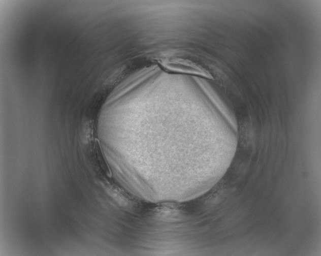 X0000062870284200601271604