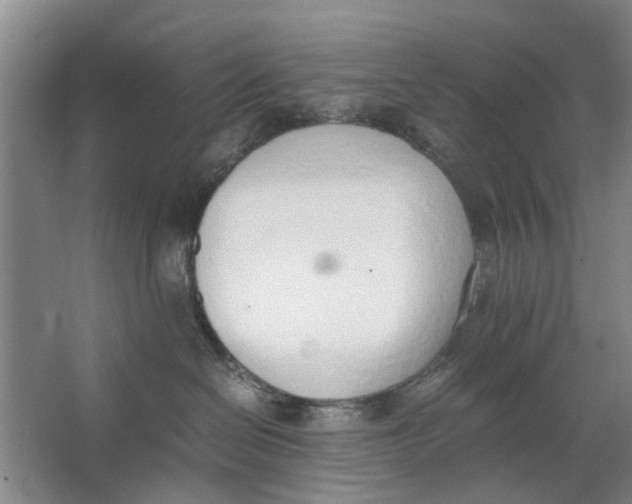 X0000062870286200601271604