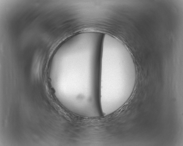 X0000062870289200601271603