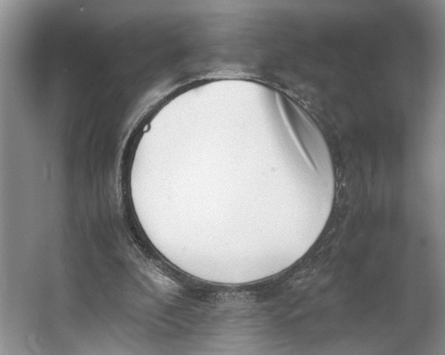 X0000062870296200601271603