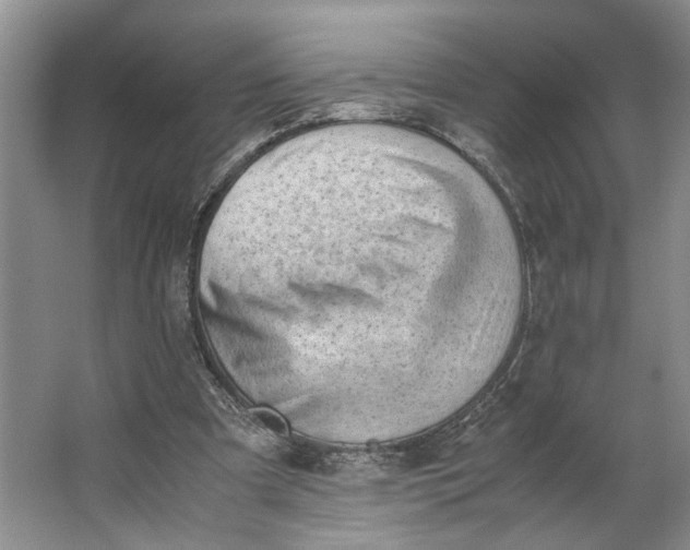 X0000062870297200601271603