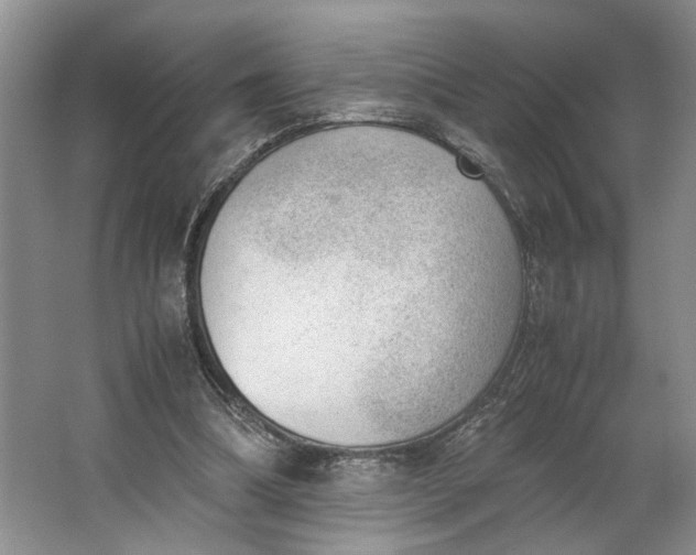 X0000062870298200601271603