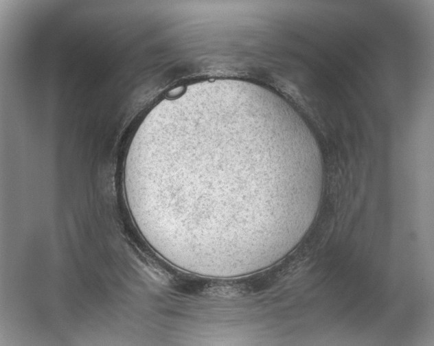 X0000062870299200601271603