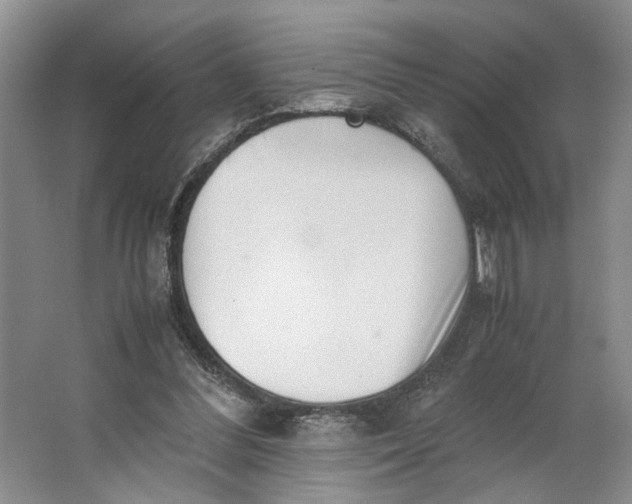 X0000062870300200601271603