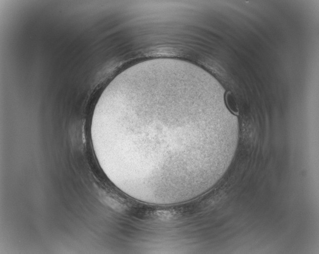 X0000062870302200601271603