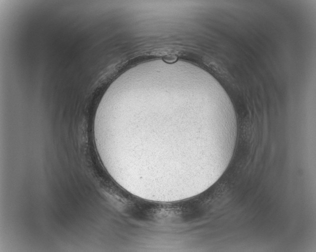 X0000062870303200601271603