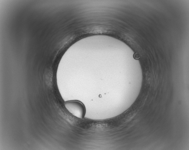 X0000062870304200601271603