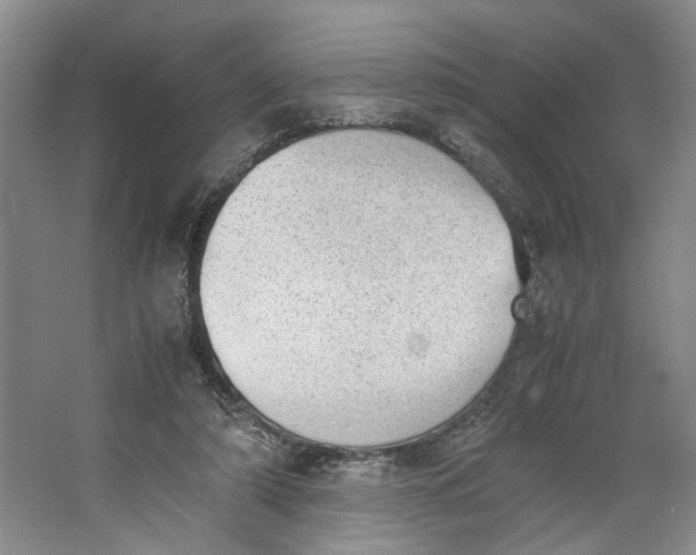 X0000062870306200601271603