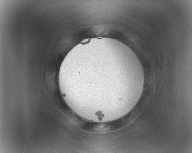 X0000062870319200601271602