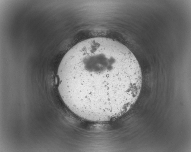 X0000062870323200601271602