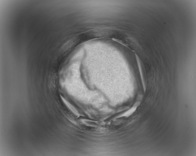 X0000062870325200601271602