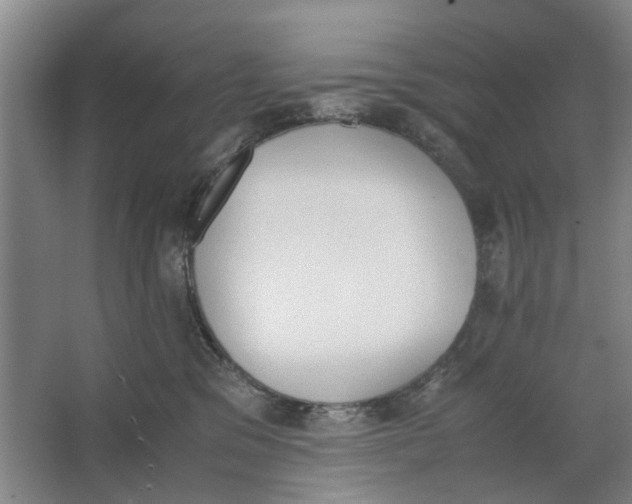 X0000062870329200601271602