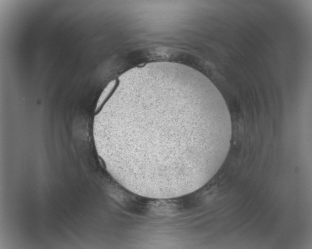 X0000062870331200601271602