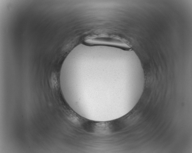 X0000062870335200601271602