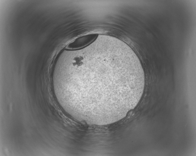 X0000062870337200601271601