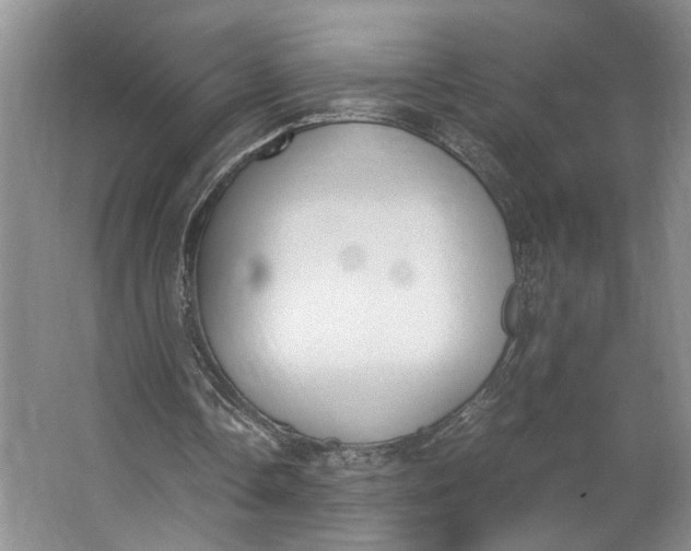 X0000062870338200601271601