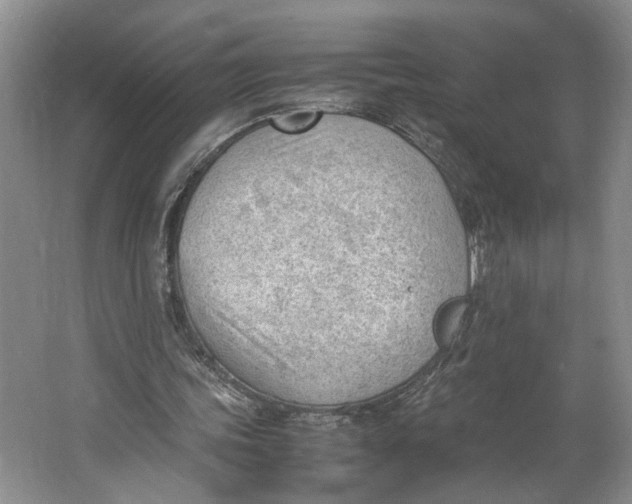 X0000062870339200601271601