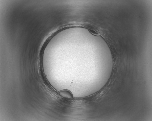 X0000062870342200601271601