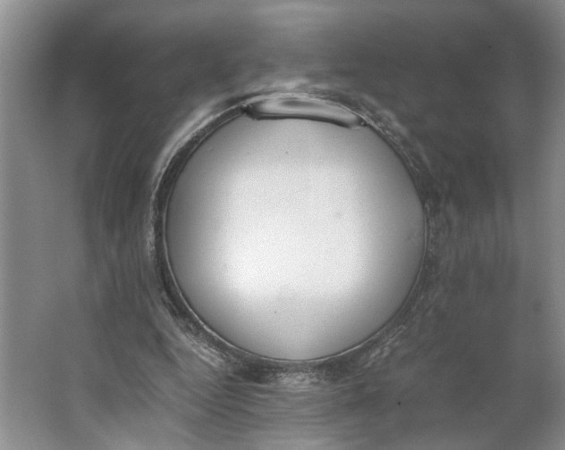 X0000062870344200601271601