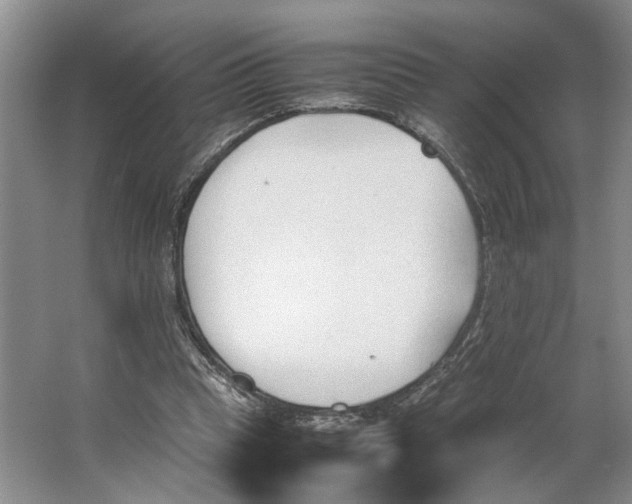 X0000062870345200601271601