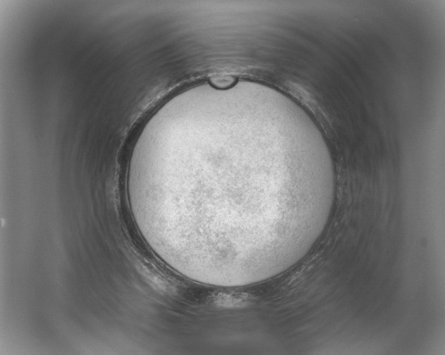 X0000062870346200601271601