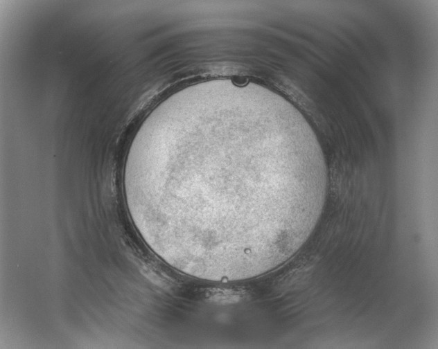 X0000062870347200601271601