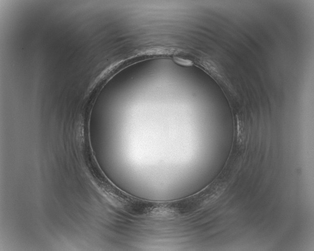 X0000062870348200601271601