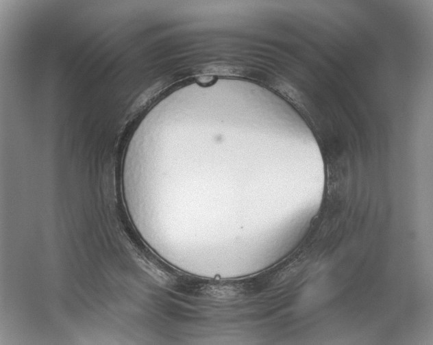 X0000062870349200601271601