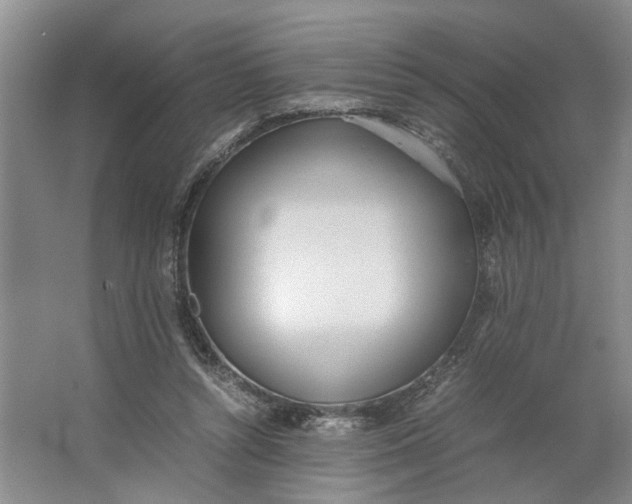 X0000062870352200601271602