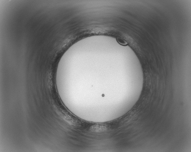 X0000062870354200601271602