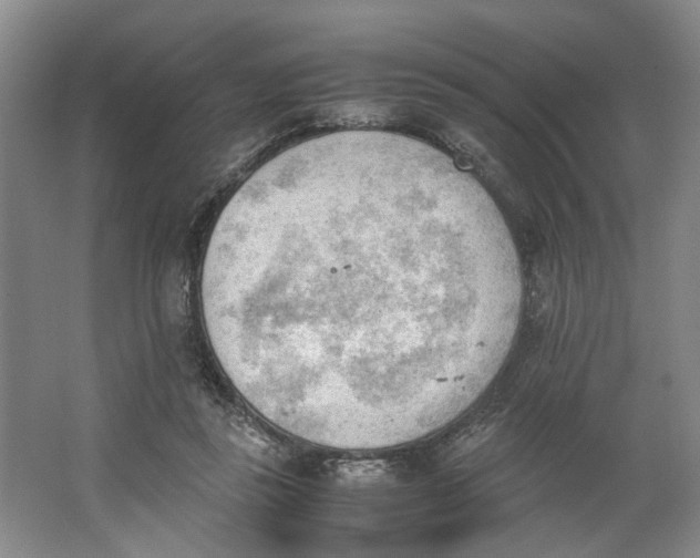 X0000062870355200601271602