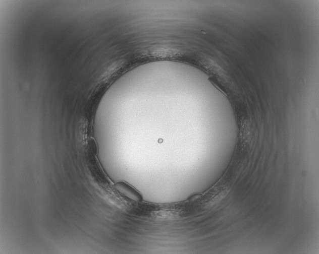 X0000062870356200601271602