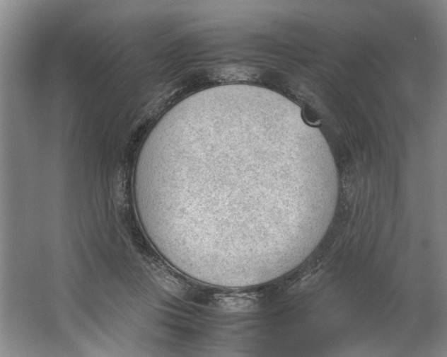 X0000062870359200601271602