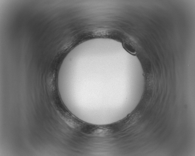 X0000062870364200601271602