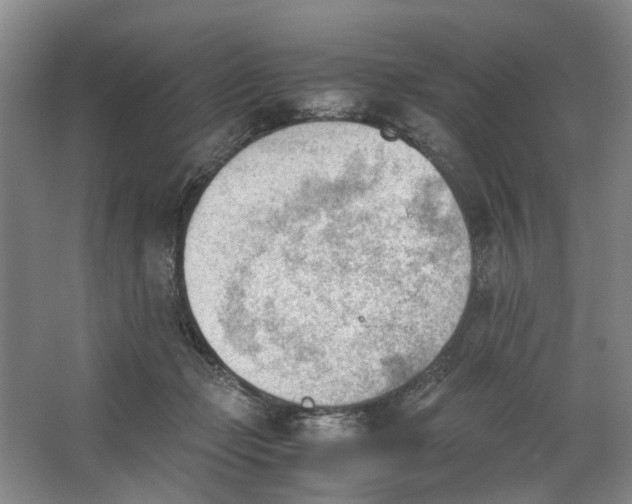 X0000062870365200601271602