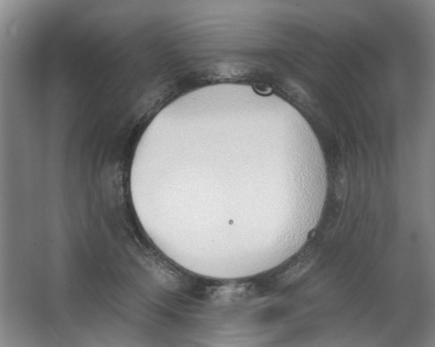 X0000062870366200601271602