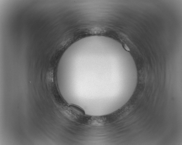 X0000062870368200601271602