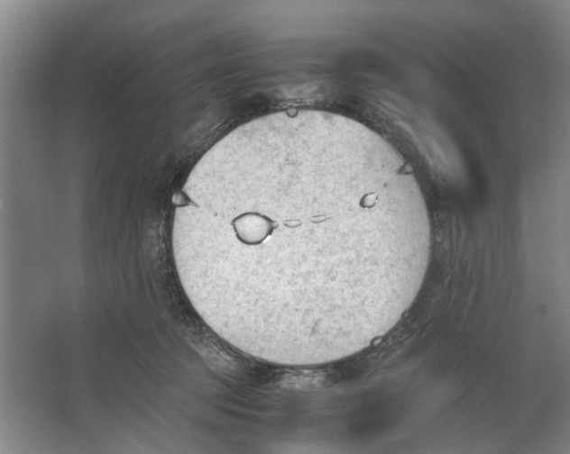 X0000062870369200601271602