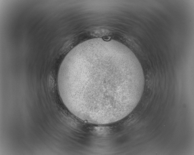 X0000062870371200601271602