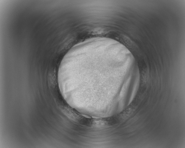 X0000062870376200601271602