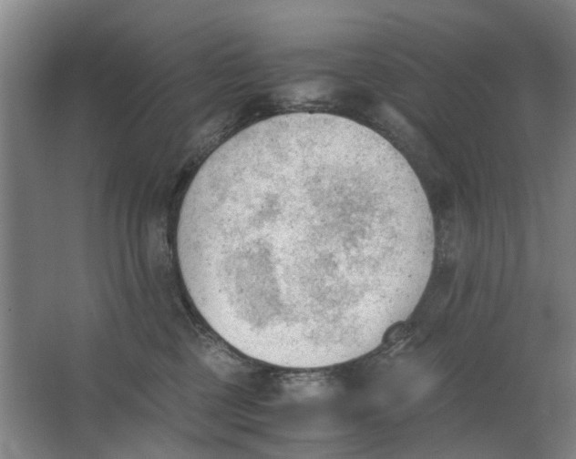 X0000062870377200601271602