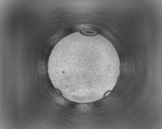 X0000062870381200601271602