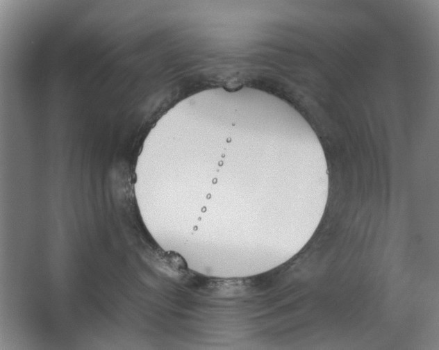 X0000062870384200601271602