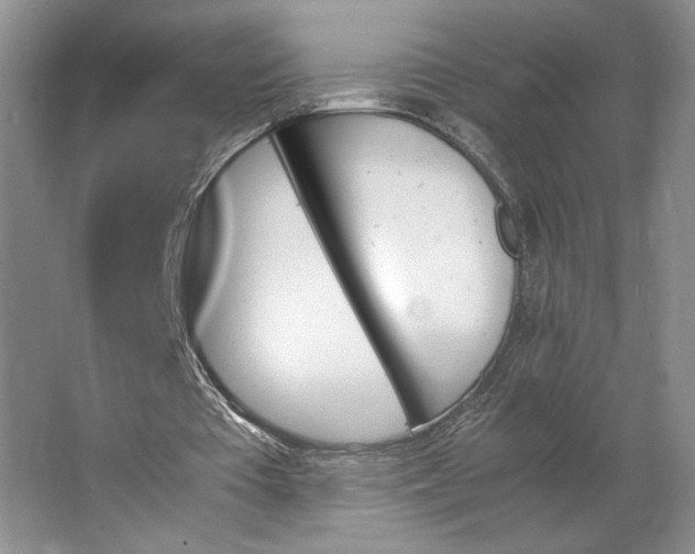 X0000062870385200601271601