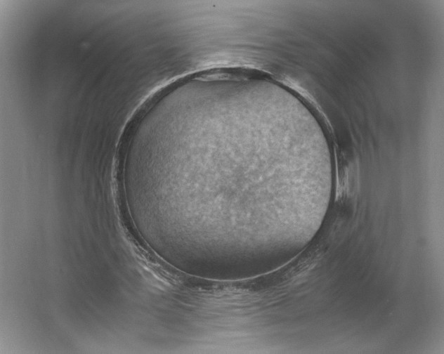 X0000062870387200601271601