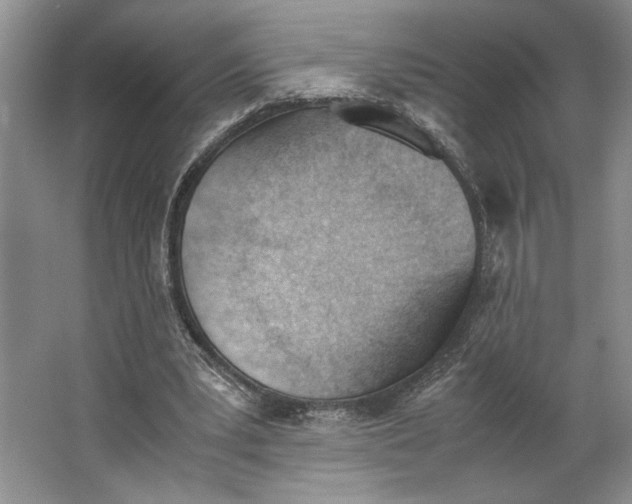 X0000062870391200601271601