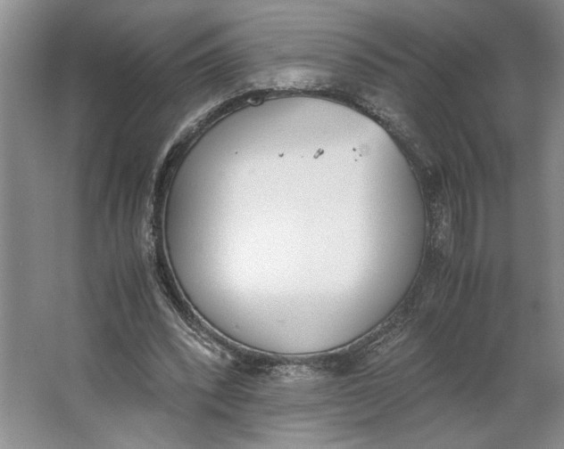 X0000062870392200601271601