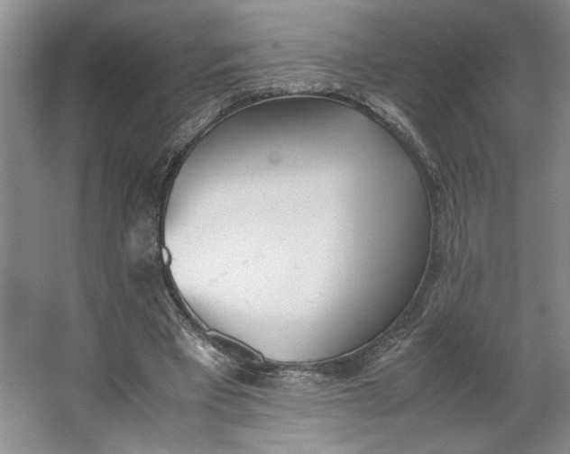 X0000062870393200601271601