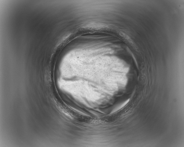 X0000062870399200601271601